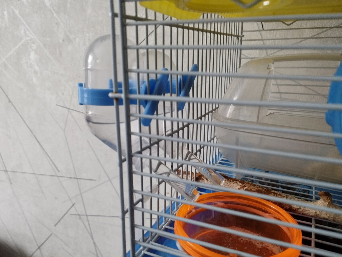 Две одинаковые получились