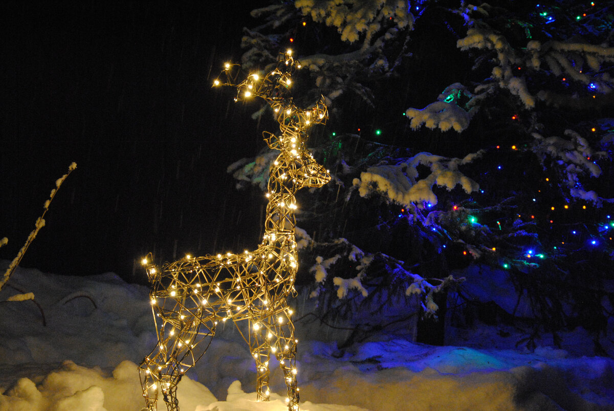 Как я люблю эти чудесные светящиеся садовые фигуры! Мой сад, декабрь 2023.