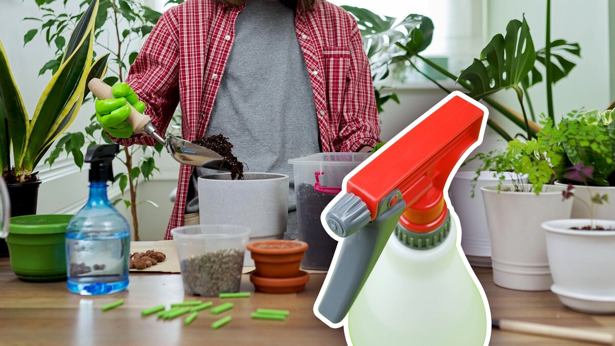 Фото открытых источников