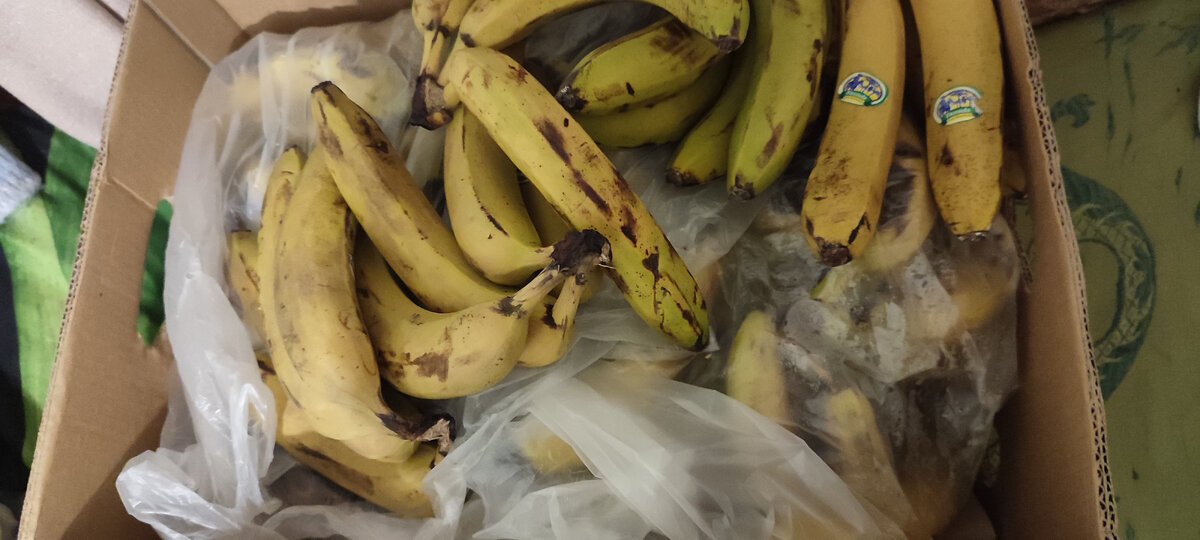 Работа внуку на вечер 😁