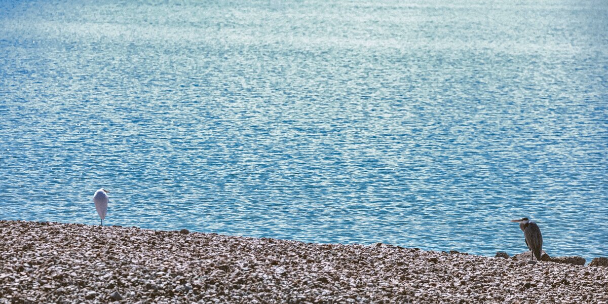 Фото с бесплатного фотоистока https://unsplash.com, автор DL314 Lin