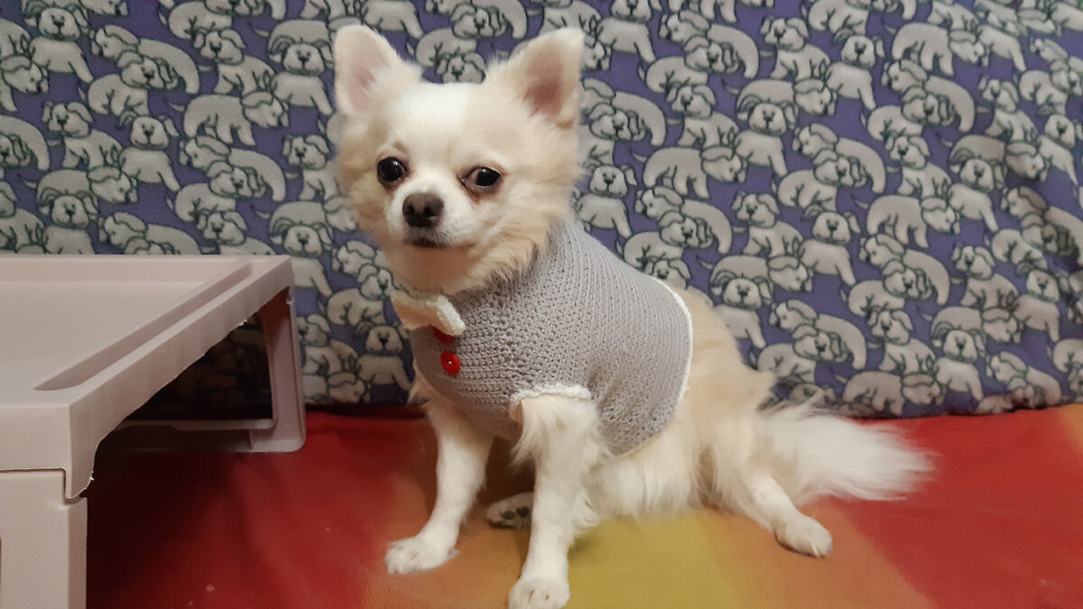 Любимый модель примеряет обновку