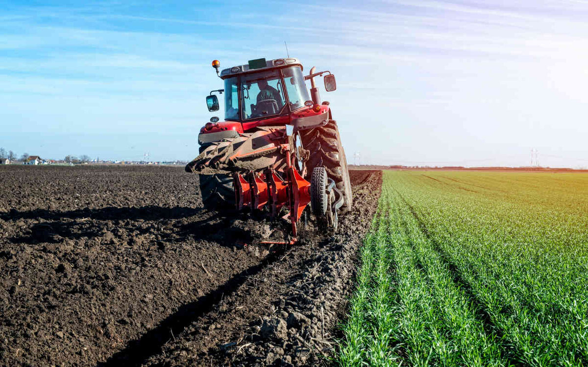    «Боевые риски» официально исключат из агростраховки с господдержкой Фото от aleksandarlittlewolf с сайта ru.freepik.com