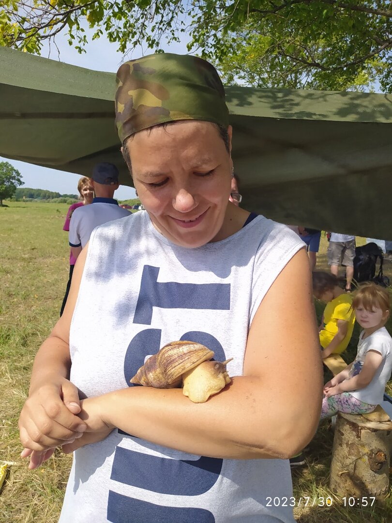 Вот она и будет домашним питомцем — ахатина гигантская