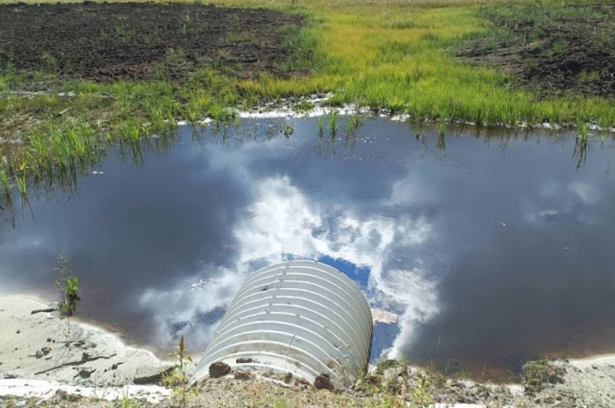    Иллюстративное фото