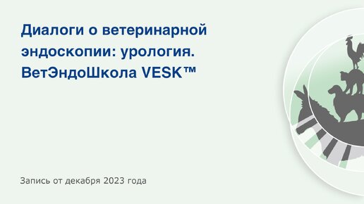 Диалоги о ветеринарной эндоскопии: урология. ВетЭндоШкола VESK™