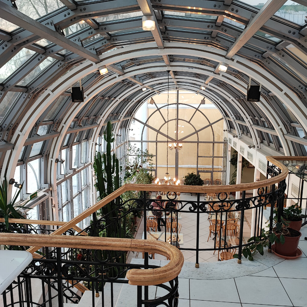 кафе "Оранжерея"