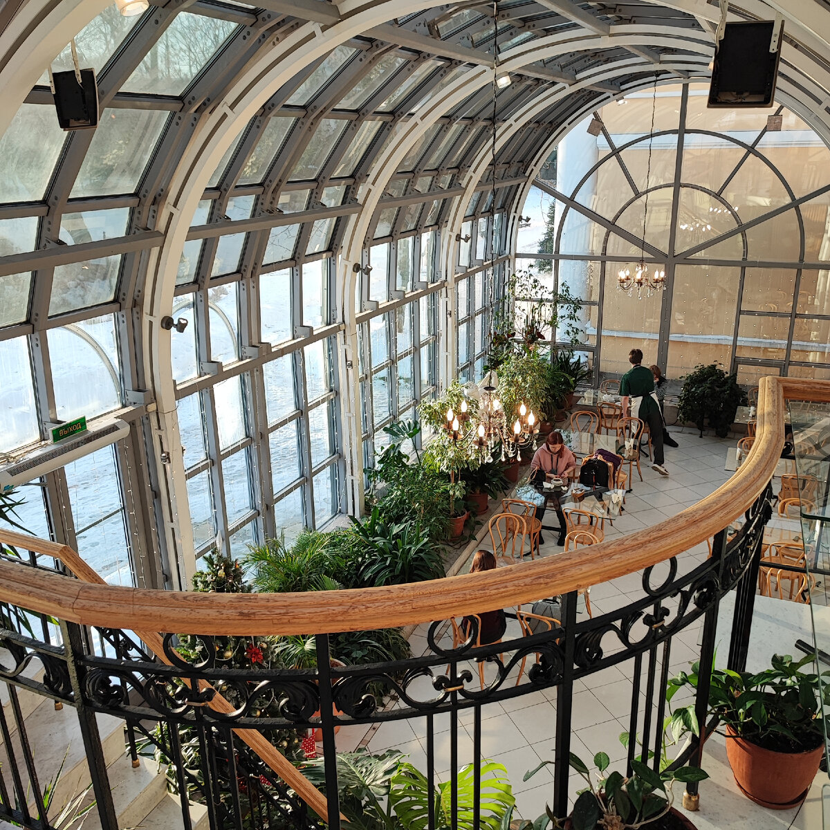 кафе "Оранжерея"