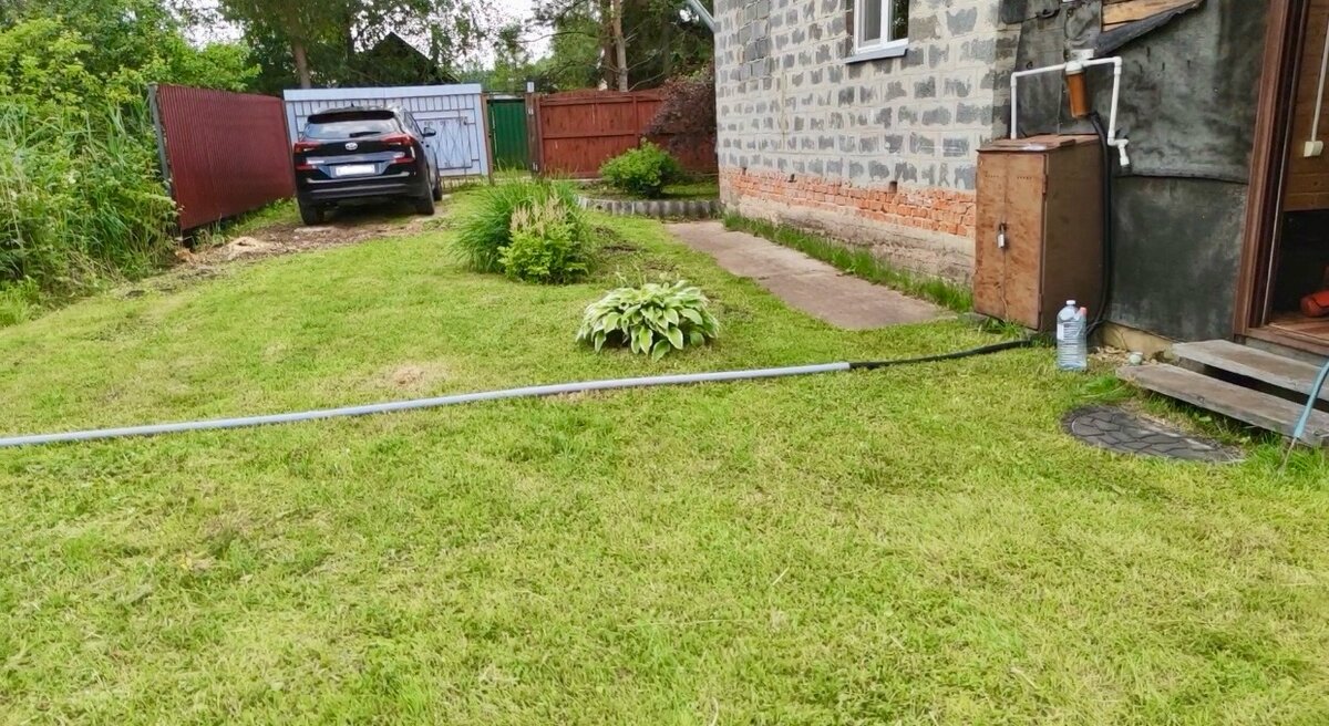 Слева от машины росла большая Туя