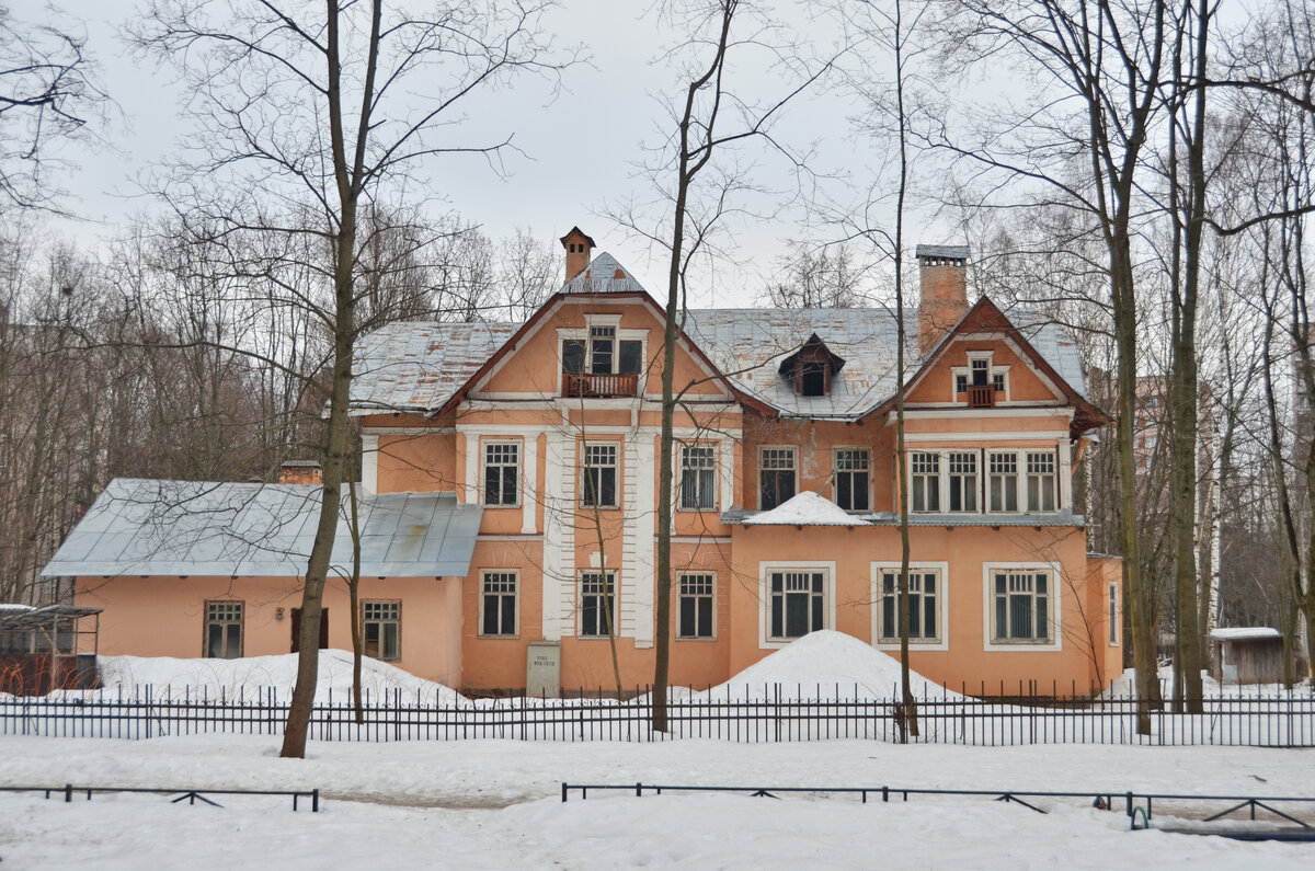 Уникальный микрорайон в Петербурге с небоскребом в нью-йоркском стиле,  дореволюционными особняками и советскими многоэтажками | Путешествия по  городам и весям | Дзен