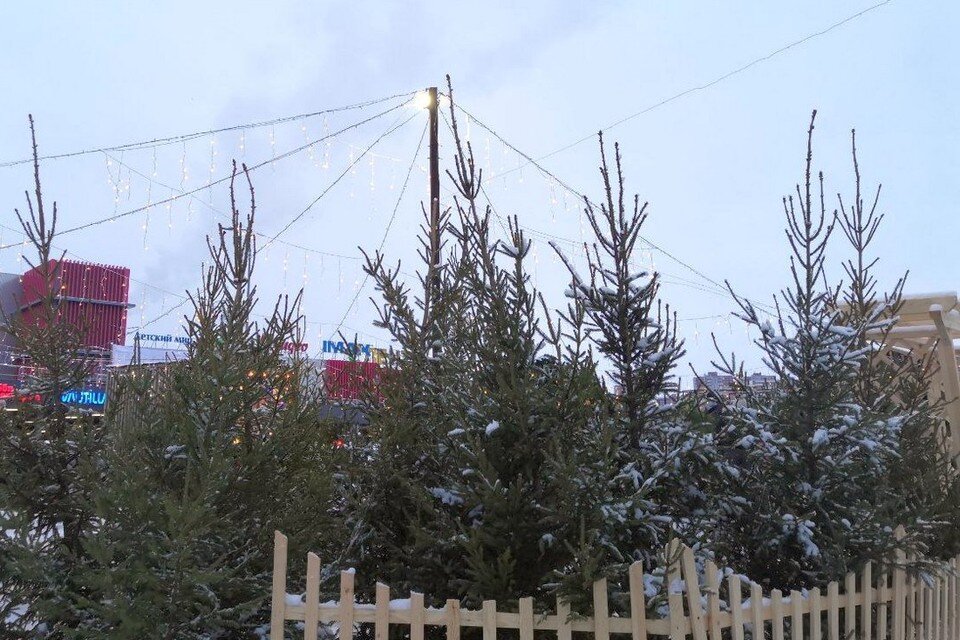    В Липецке пройдет новогодняя ярмарка Алина ПАЛАГИНА