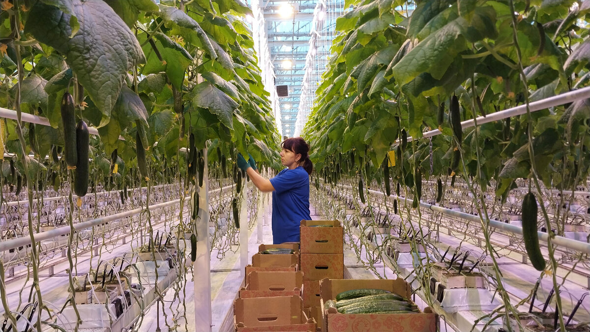 Сборщица за работой.