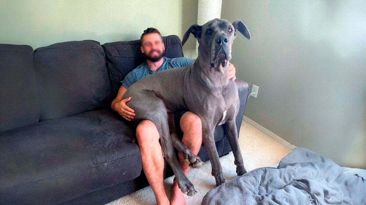 источник фото: cdn.fishki.net