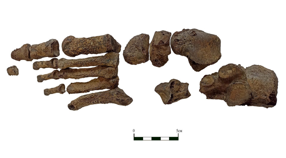   Анна Тарасова и Андрей Евтеев / Нижневолжский археологический вестник, 2023