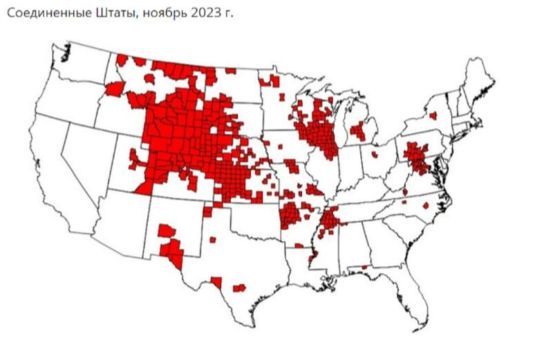 Вирус cwd 2024. Вирус cwd 2024. Вирус cwd 2024. Вирус cwd 2024. Вирус cwd 2024.