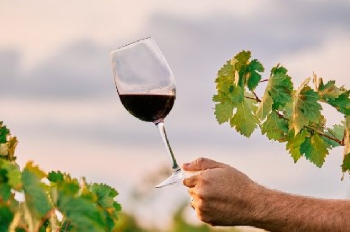    В 2023 году на Кубани произвели около 83 млн бутылок игристых вин