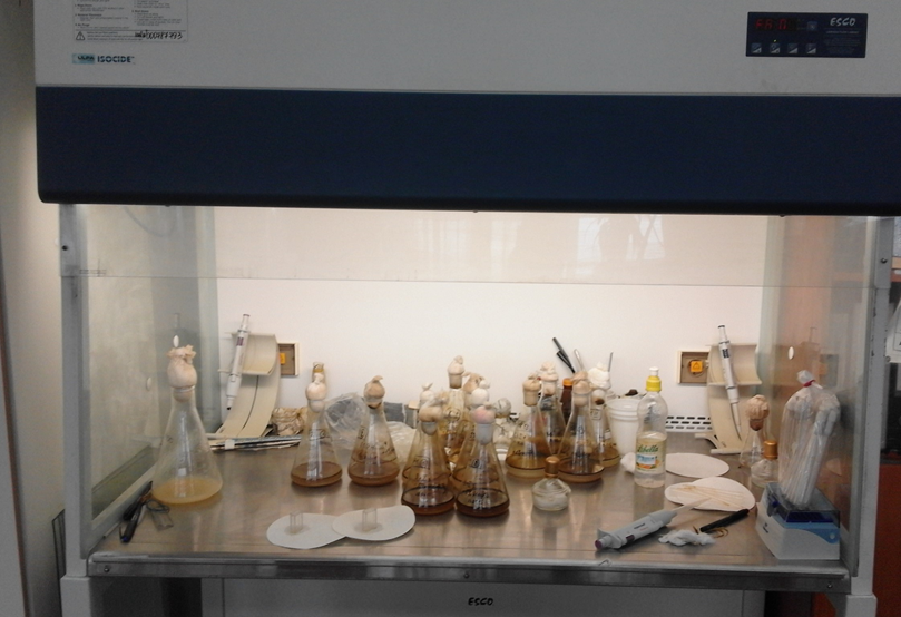 Именно так выглядел наш ламинарный бокс. Но фото сделано не в этот день.