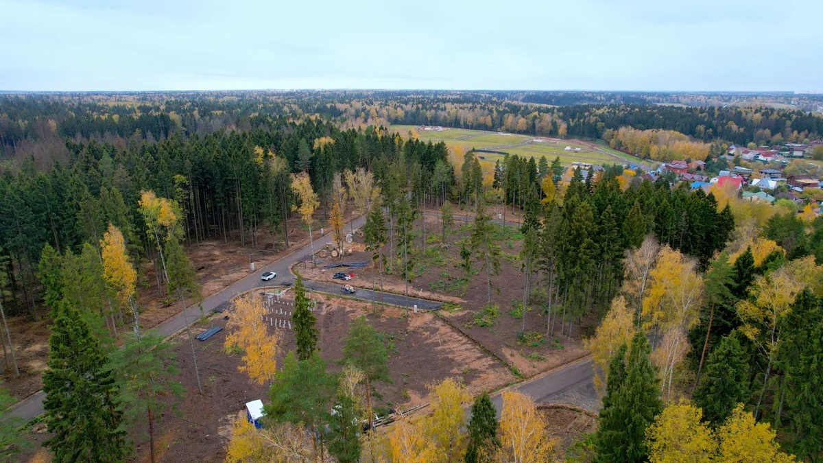 Чек-лист для выбора идеального участка рядом с Москвой | Сходня Forest Park  | Дзен