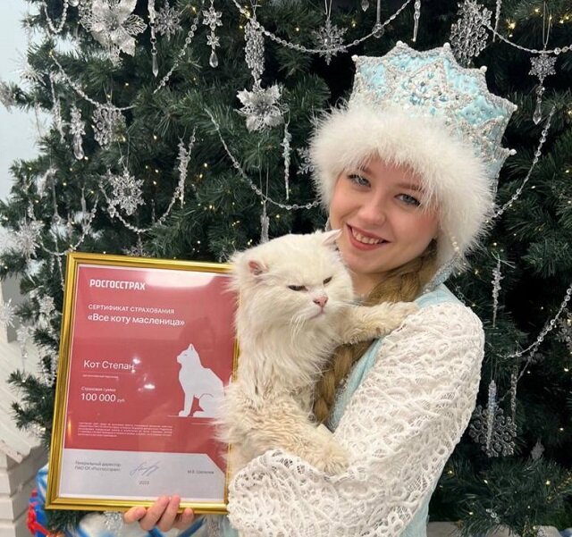    Фото: Пресс-служба Росгосстрах