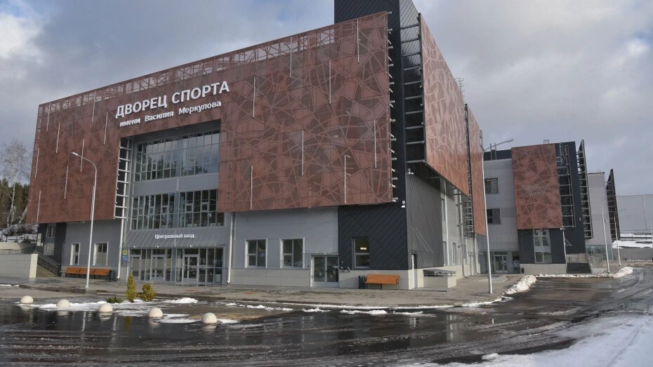 Дворец спорта имени василия меркулова воронеж