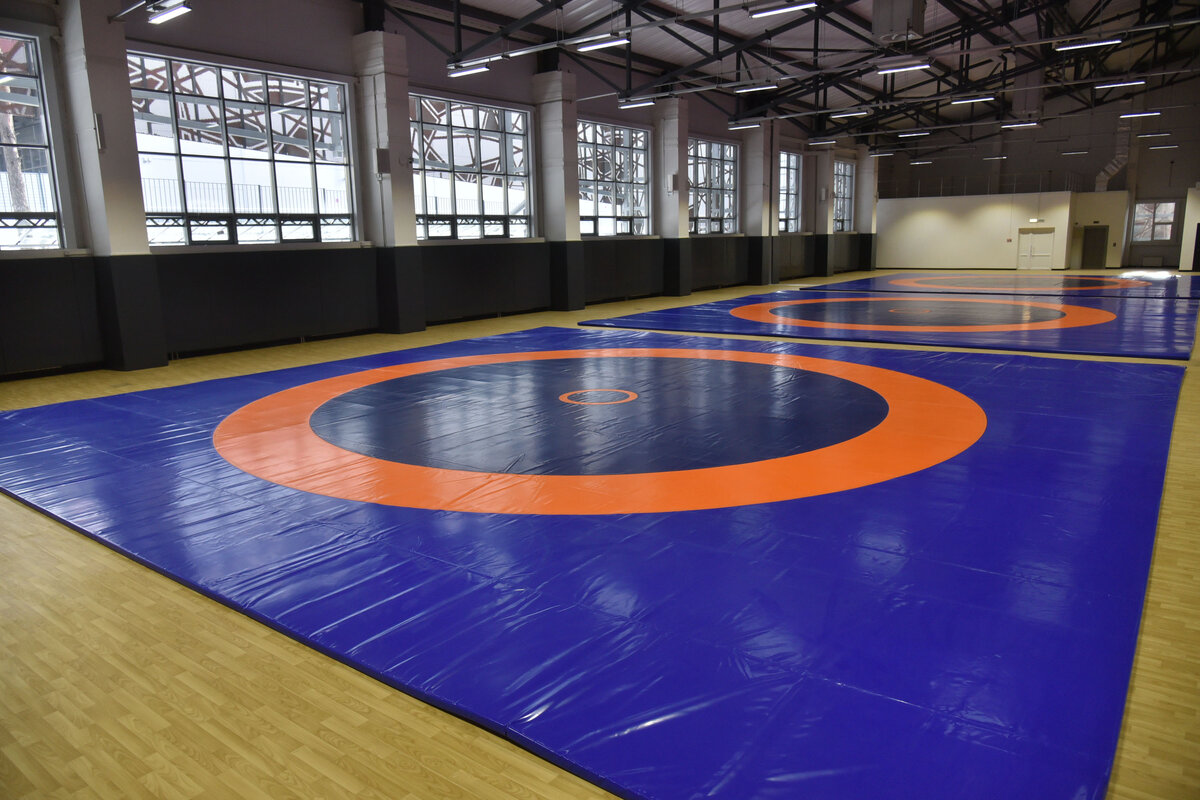 Дворец спорта имени василия меркулова воронеж