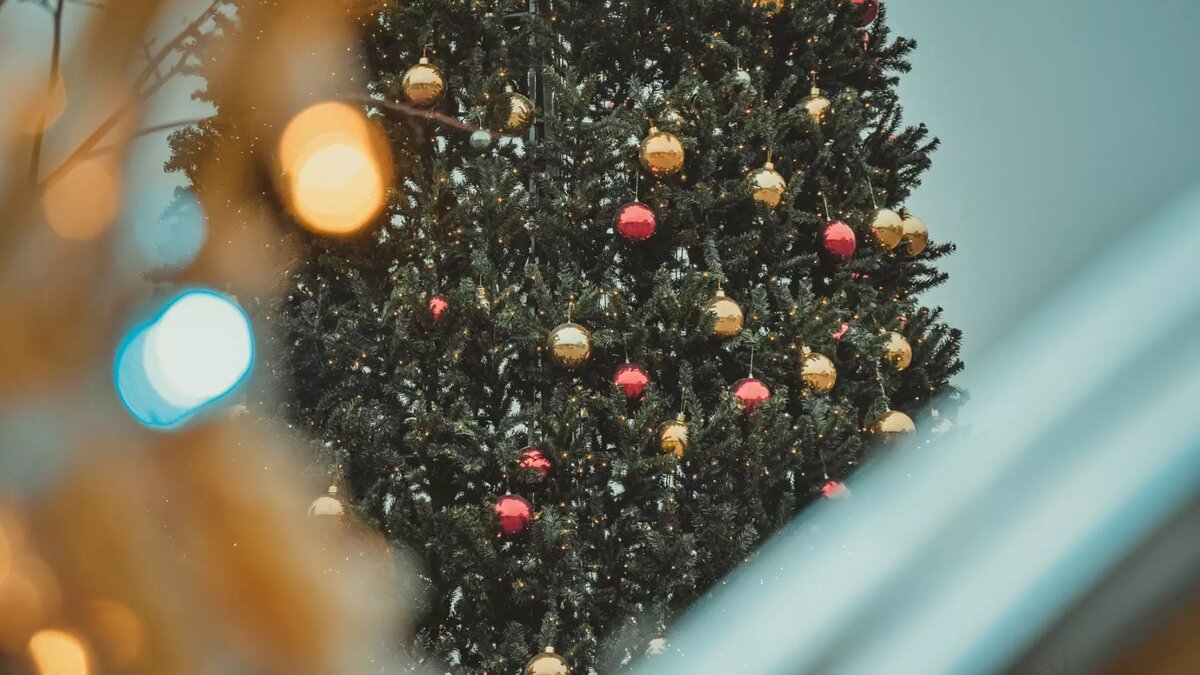     Об этом в ходе планерки в мэрии рассказала заместитель председателя комитета социального развития — начальник управления образования Светлана Пахомова.