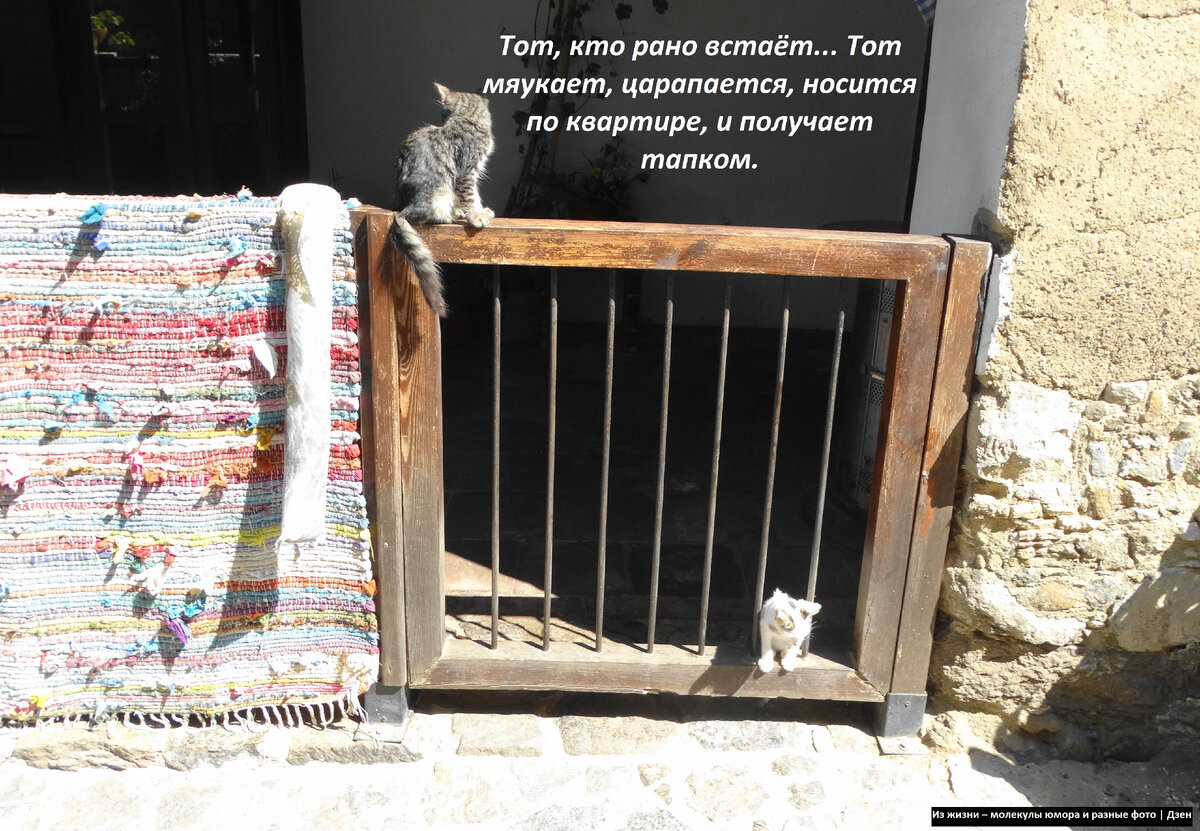 Жарким днём в деревеньке на о. Кипр