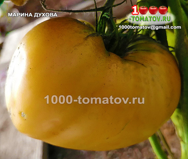 Томат Этуаль (Etoile) Италия, 5 семян Дачная Коллекция