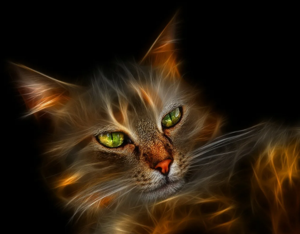 pixabay.com