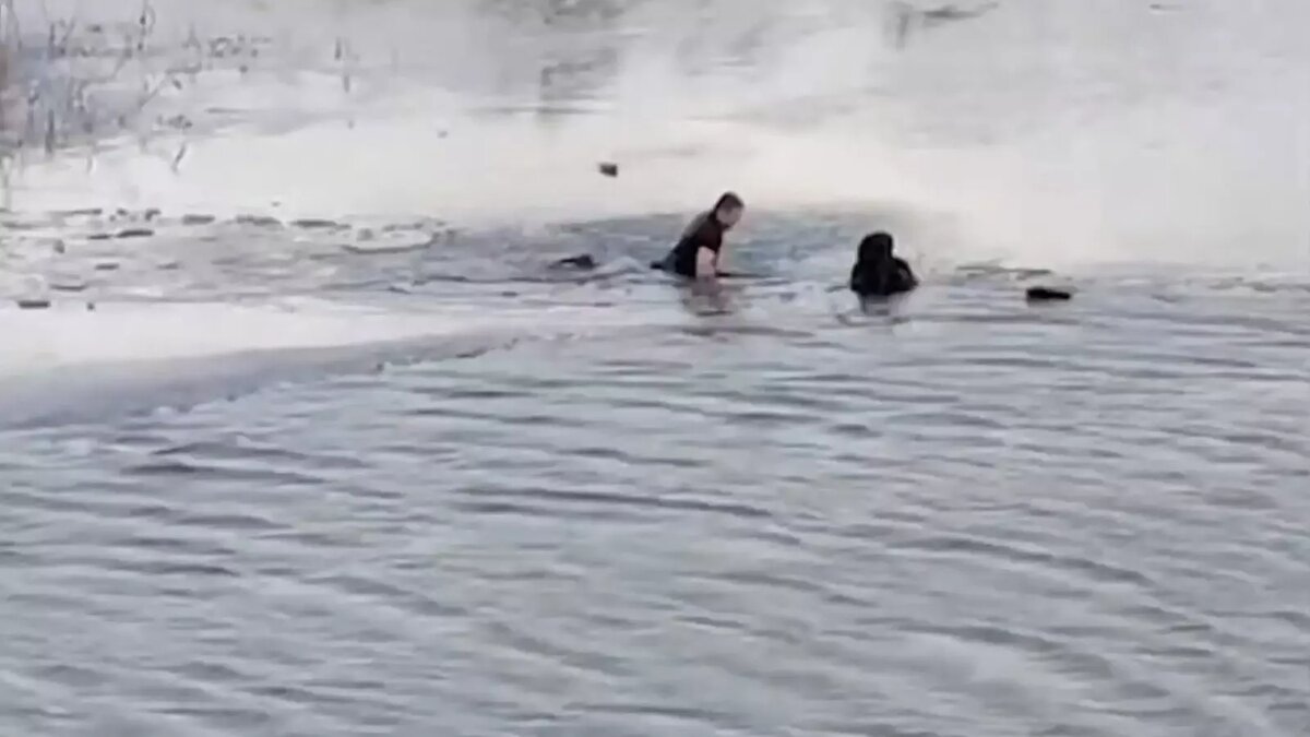     Участковый бросился в ледяную воду в Городище, чтобы добраться до тонущего 12-летнего подростка, сообщили в ГУ МВД по Волгоградской области.