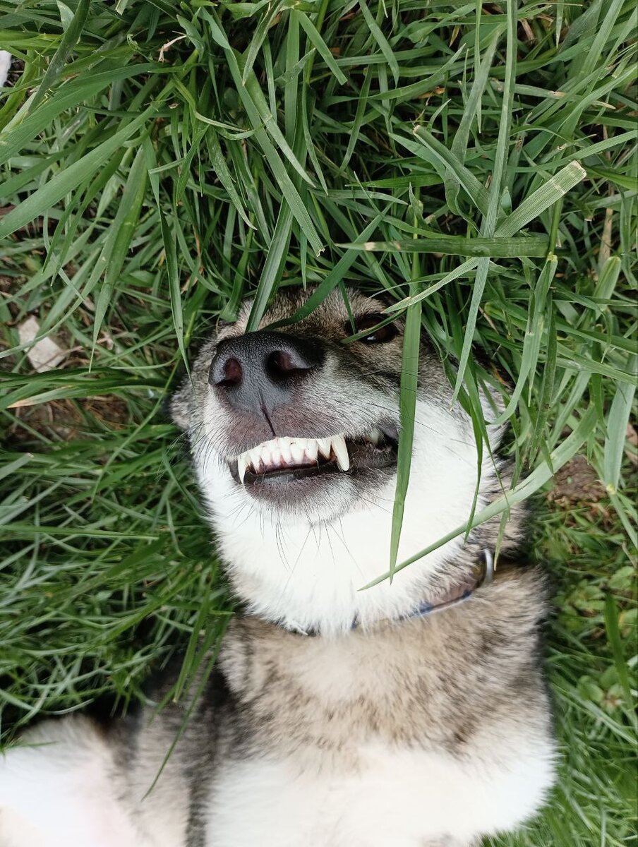 Здрасьте! Что хочу найду.