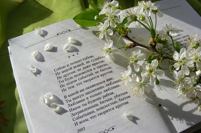 Цветы цитаты из книг