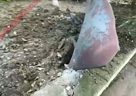    ВСУ ведут обстрелы ДНР, Белгородской и Брянской области. Крым атакован крылатыми ракетами. Обзор ситуации в прифронтовых регионах России на вечер 26 декабря