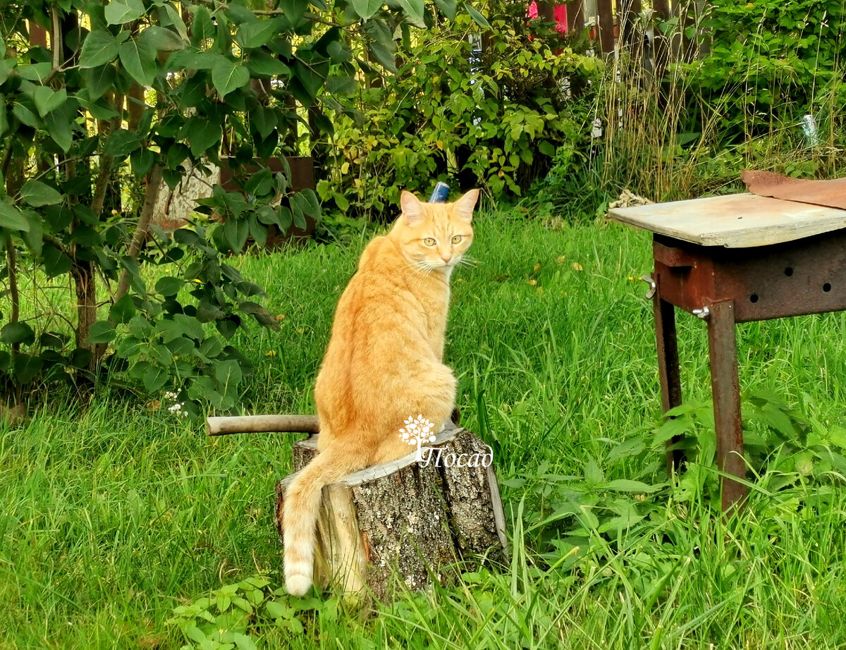 Таким видим мир мы и птицы. Листайте: