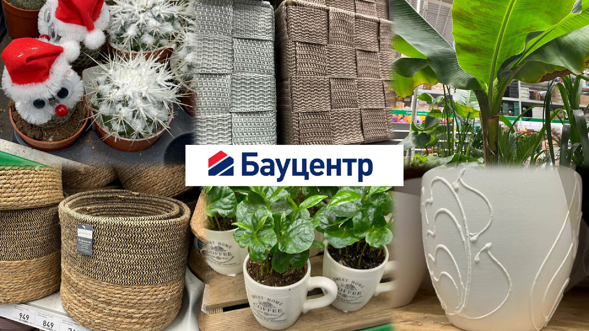 Лучше Леруа Мерлен 🔥 Вау! Нашла товары как в Икеа и Леруа 😍😍😍Обзор  товаров для дома и живых растений из БауЦентра⤵️ | Везде с Викой | Дзен