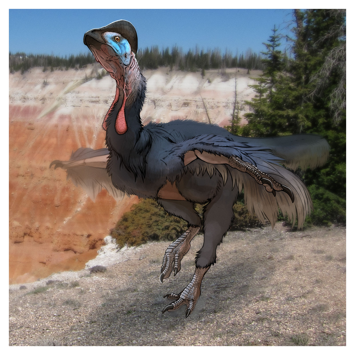 Реконструкция от ZaelisB