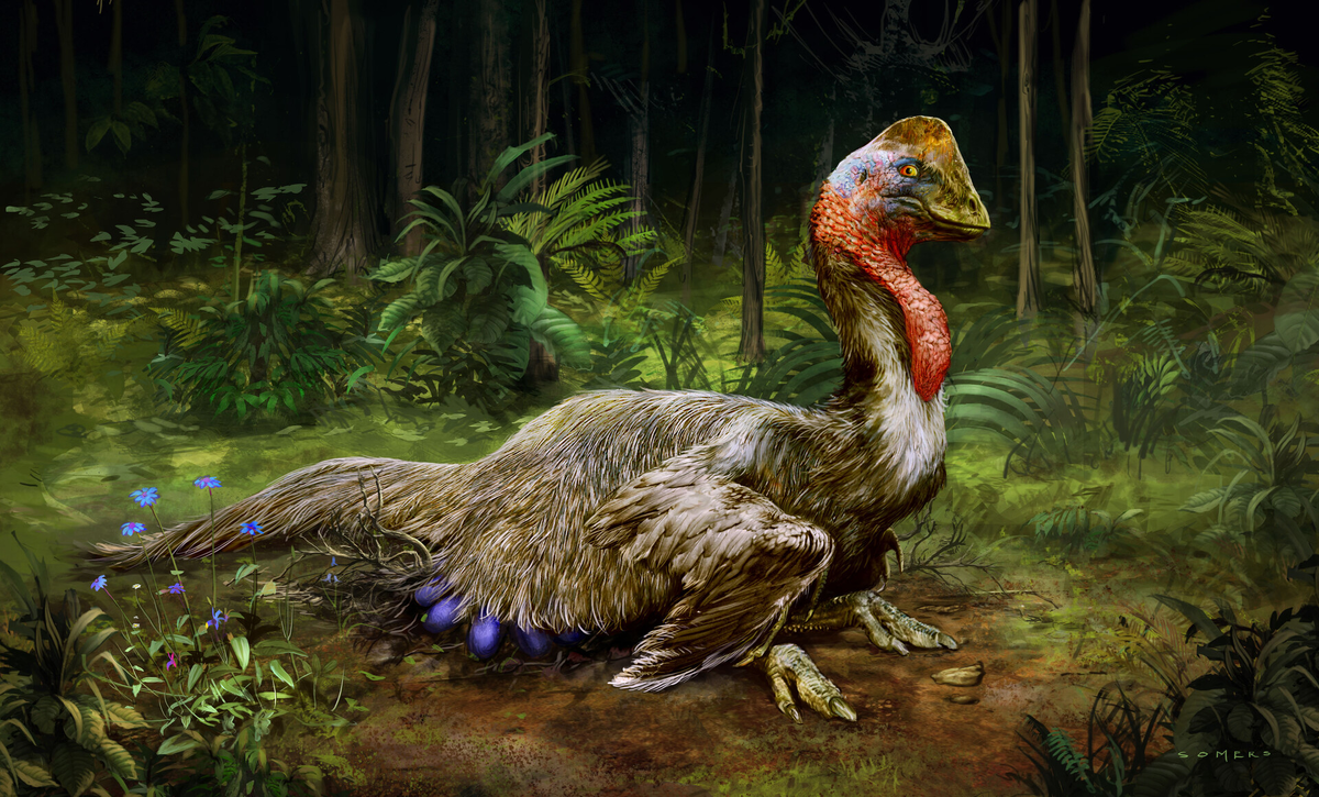 Работа Stephen Somers для Paleofest - анзу Жемчужинка