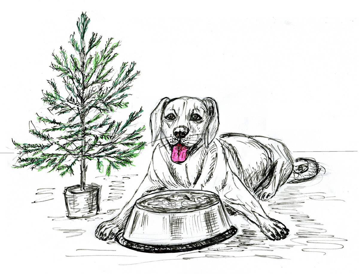 Вкусные потрошки