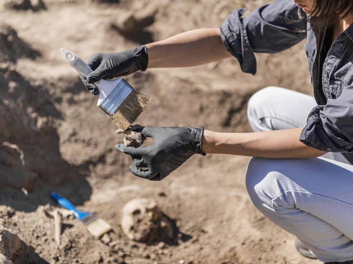    Археолог на раскопках© iStock.com / microgen