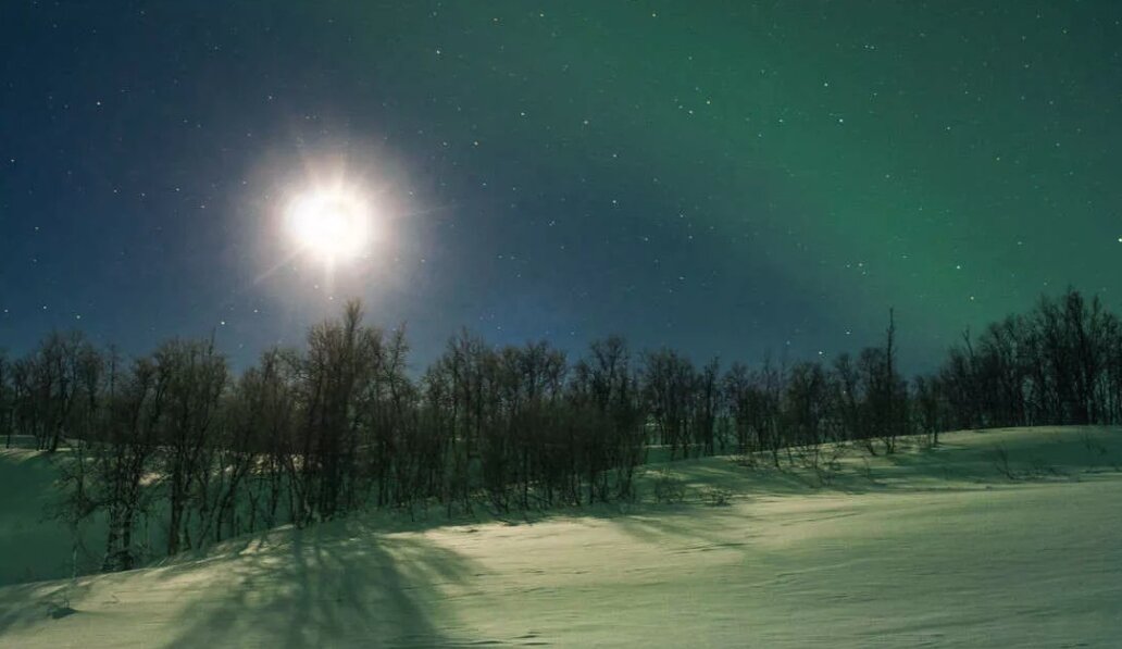 Полярная ночь