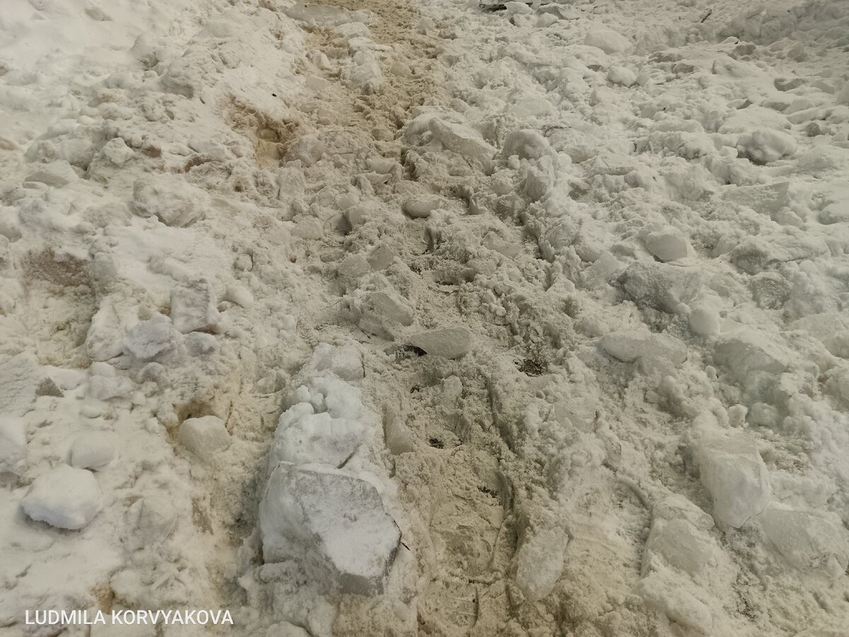    Голый лед под слоем снега поджидает жителей в центре ПетрозаводскаЧитатель "Фактор News"