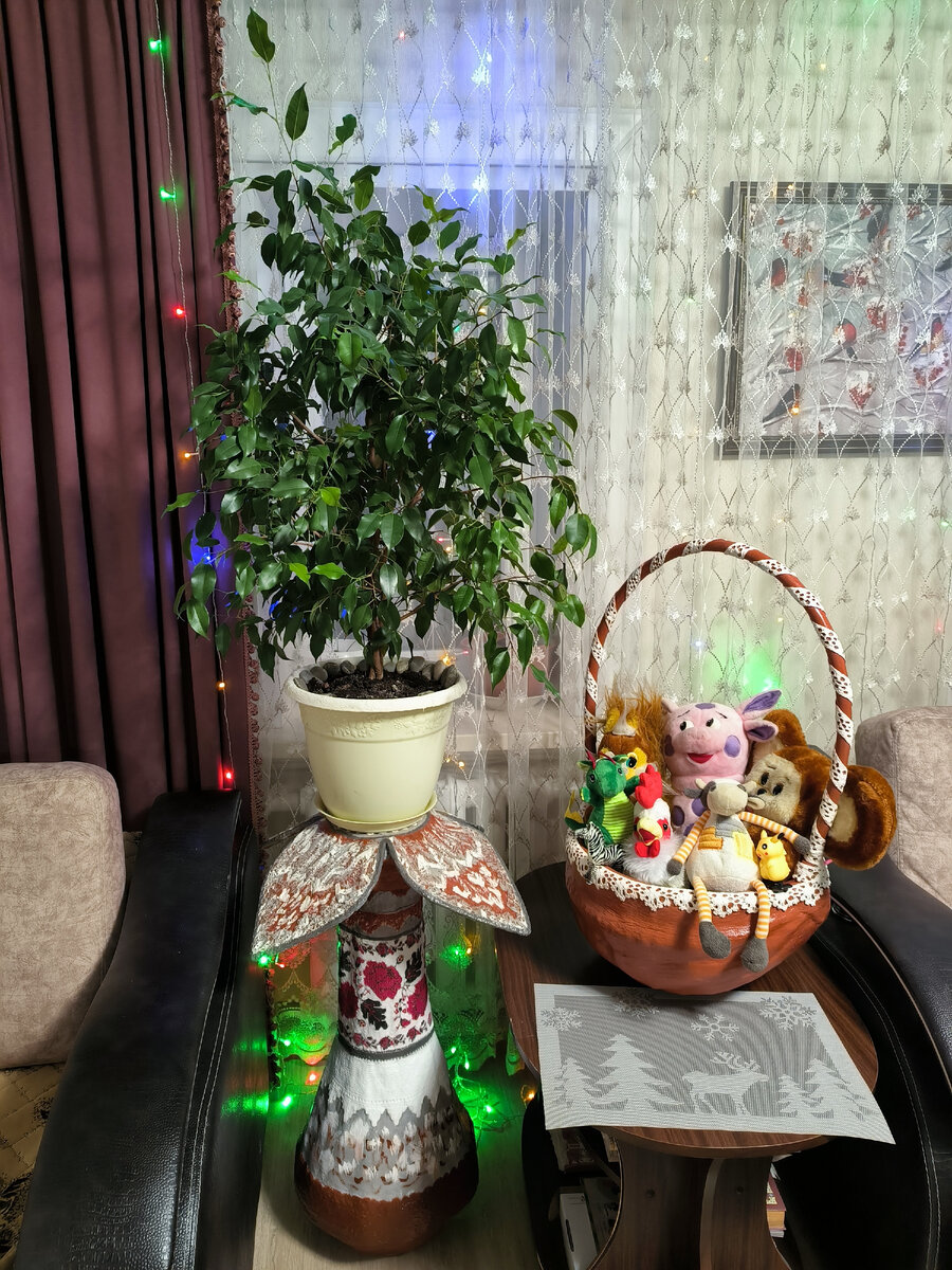 Фикус Бенджамина 