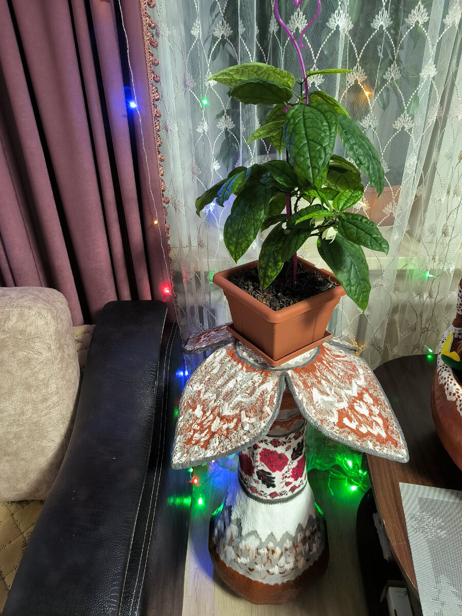 Клеродендрум