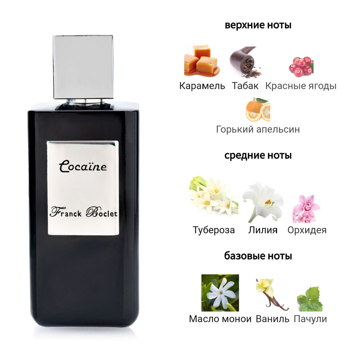 Фото из интернета