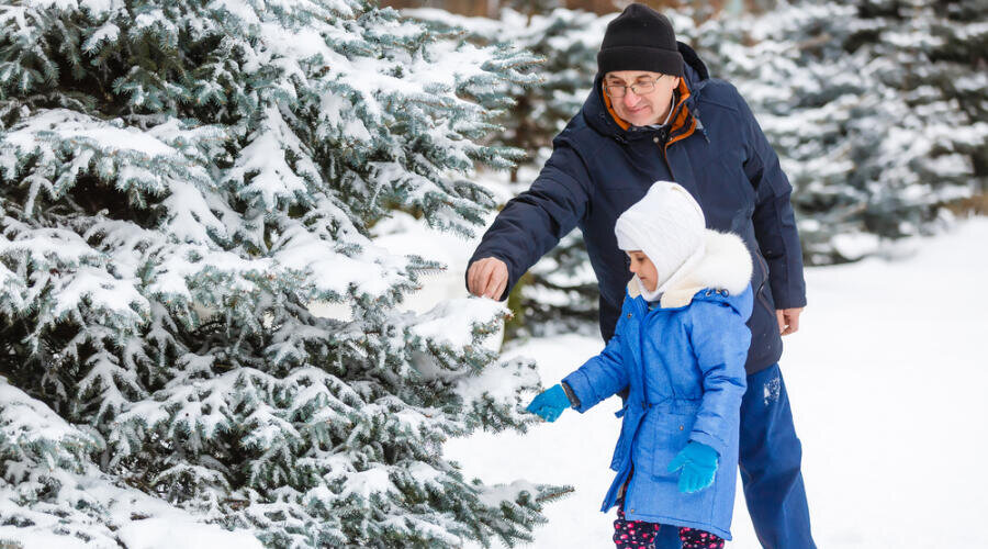    Что говорят внуки в канун Нового года? Фото: Depositphotos