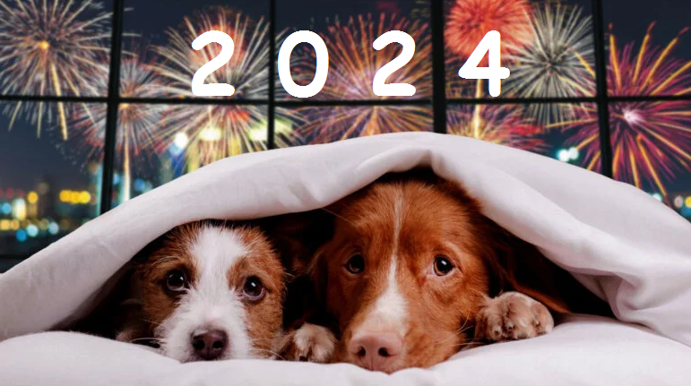 С Новым годом, ребята!