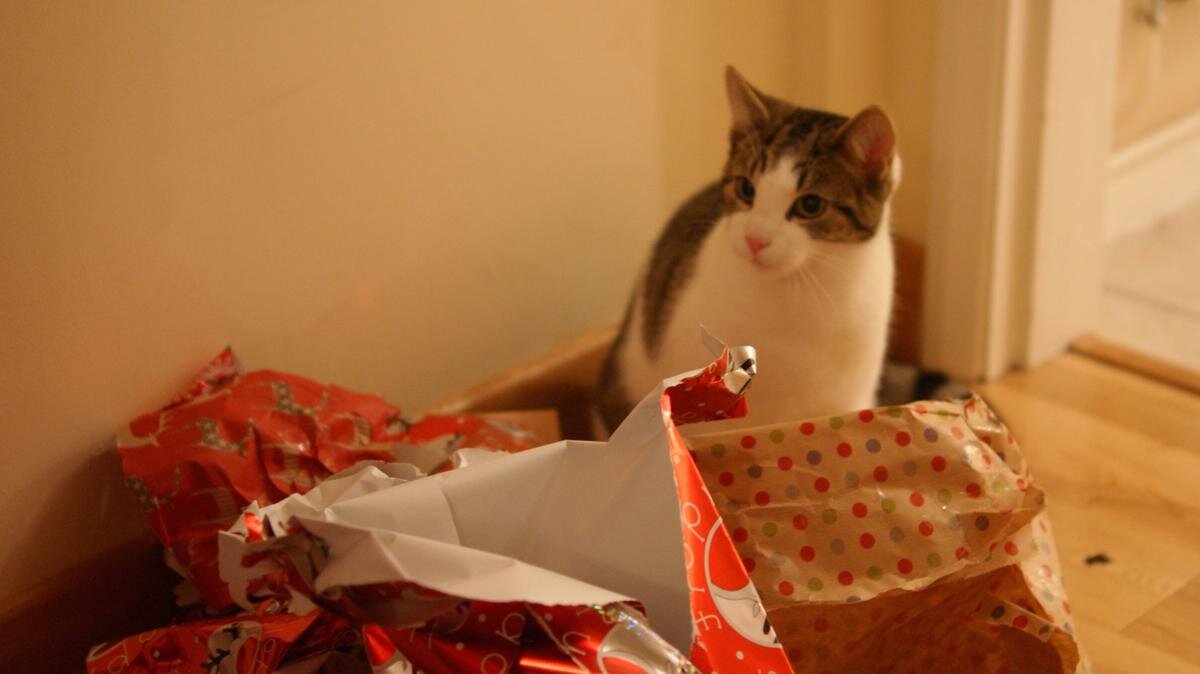    Скоро начнутся длинные каникулы. Фото: pxhere.com