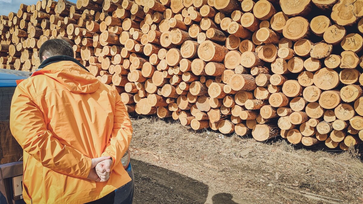     В прокуратуре города Дальнегорска Приморского края утвердили обвинительное заключение по уголовному делу в отношении местного жителя, который родился в 1955 году. Ему предъявляется обвинение по статье 260 Уголовного кодекса РФ (незаконная вырубка лесных насаждений в особо крупном размере).