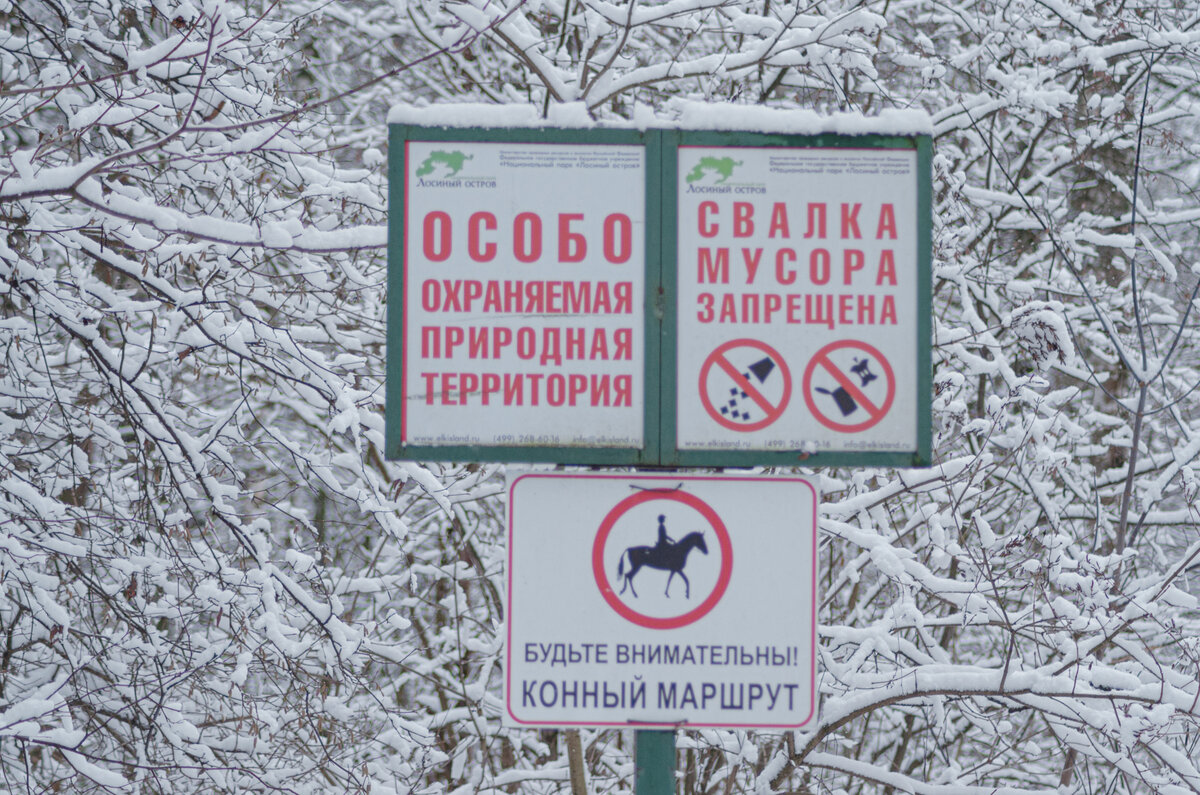 фото: Игорь Гришин