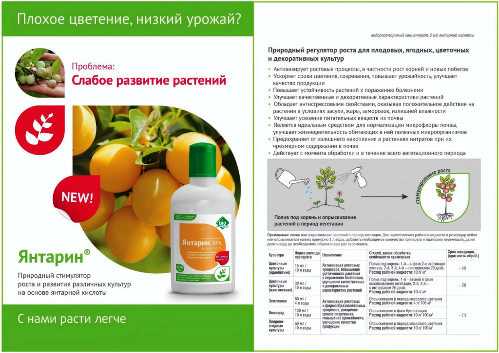 янтарная кислота поливка рассады. янтарная кислота для огурцов и томатов. янтарная кислота для растений и рассады. подкормка перцев янтарной кислотой. удобрение "янтарная кислота" 4 гр.